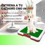 🐾 ENTRENADOR DE BAÑO PARA PERROS CON CÉSPED ARTIFICIAL